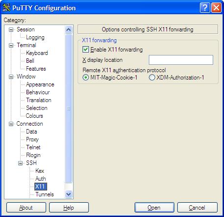 PuTTY X11 options